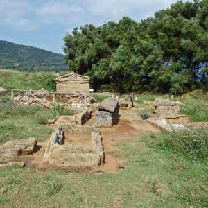 Populonia - Archäologiepark Baratti (Toskana) -Nekropole von San Cerbone