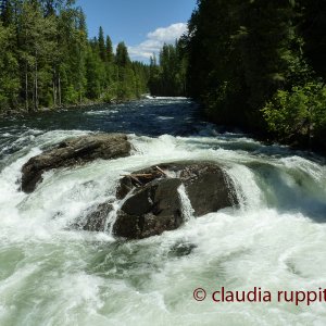 Murtle River, Wells Gray Park (BC, Canada)