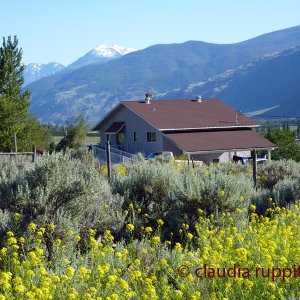 Blind Creek Indian Reserve (BC, Canada)