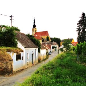 Kellergasse Gobelsburg