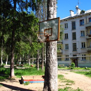 Basketballkorb am Baum, Mirny