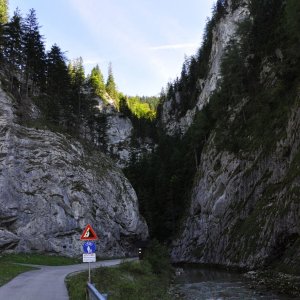 Edelweiß für Autofahrer