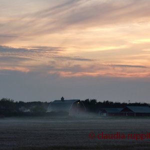 Farmen in Saskatchewan, Kanada