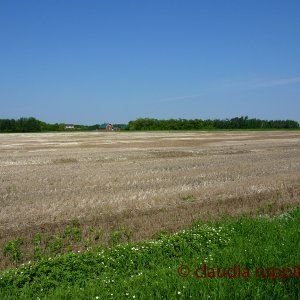 Farmen in Saskatchewan, Kanada