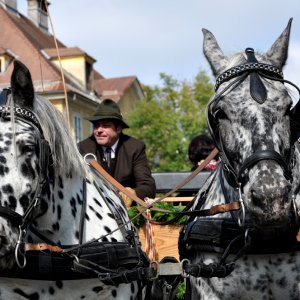 Festzug Kärntner Volksabstimmung