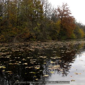 Stille ... Allerheiligen