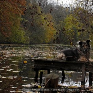 Stille ... Allerheiligen