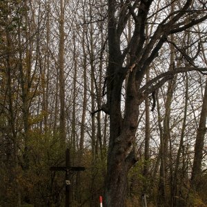 Rotes Kreuz bei Urschendorf