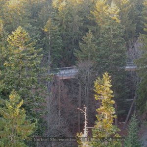 Eiturm beim Baumwipfellehrpfad