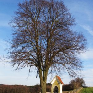 Medium 'Zehetbauern-Kapelle' in der Kategorie 'Bildstöcke'