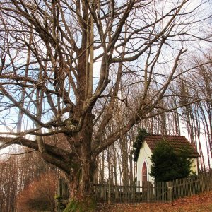 Heiligenbrunn-Kapelle