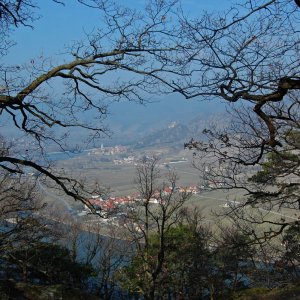 Blick auf die Donau von der Ferdinandswarte aus