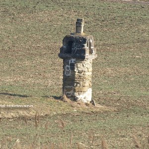 Der Wamperte - Hörersdorf