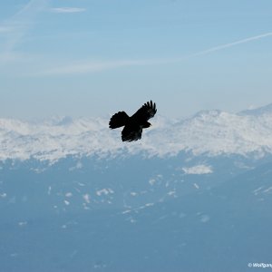 Über den Alpen 1 / 2