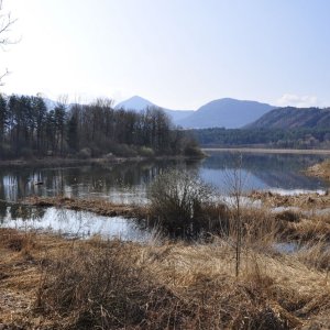 Sablatnig-Moor (Gem.Eberndorf - Nähe Klopeinersee)