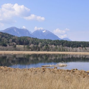 Sablatnig-Moor (Gem.Eberndorf - Nähe Klopeinersee)