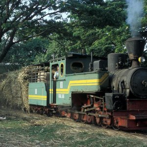 Zuckerrohrbahn Indonesien