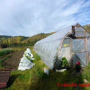 Landwirtschaft im Yukon, Canada