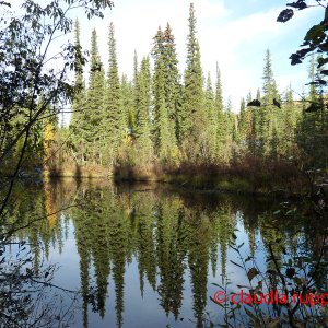 Landwirtschaft im Yukon, Canada