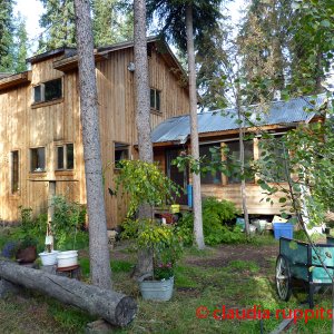 Medium 'Landwirtschaft im Yukon, Canada' in der Kategorie 'Landwirtschaft'