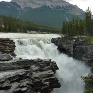 Athabasca Falls, Jasper Nationalpark, Alberta, Canada