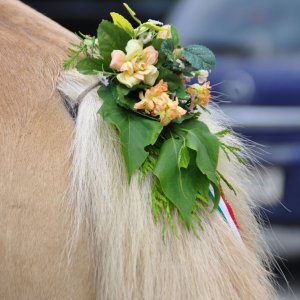 Kranzlreiten in Weitensfeld (Gurktal-Kärnten)