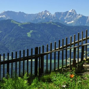 Alpengarten auf dem Dobratsch (Villach)