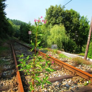 Erlauftalbahn