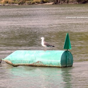 Schifffahrtszeichen