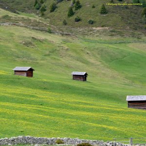 Bergwiesen Rojental