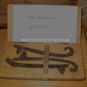 Museum Molln - Tierarzt