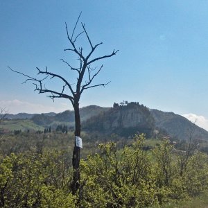 Canossa - Reste der berühmten Burg im Bildhintergrund