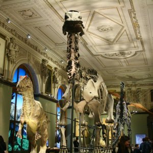 Naturhistorisches Museum Wien