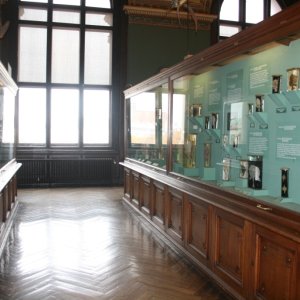 Naturhistorisches Museum Wien