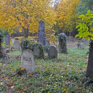 Wiener Zentralfriedhof - Jüdischer Friedhof