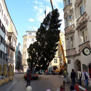 Christbaum Innsbruck zu Allerseelen