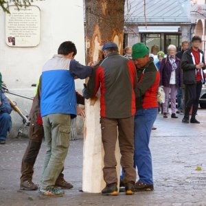 Christbaum Innsbruck zu Allerseelen