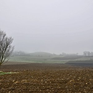 Tempelbezirk in Wabelsdorf (Bez. Klagenfurt - Land)