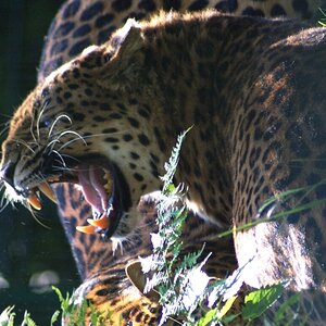 Tierpark Haag