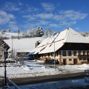 Winter im Schwarzwald