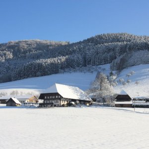 Winter im Schwarzwald