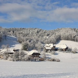 Winter im Schwarzwald