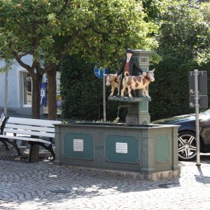 Brunnen im Harmersbachtal