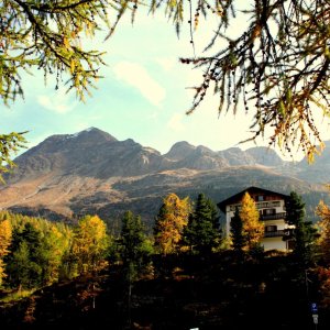 Der Herbst mit seinen bunten Farben