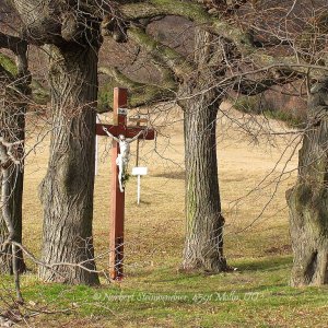 Rotes Kreuz bei Hundsheim