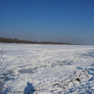 Donau bei Traismauer