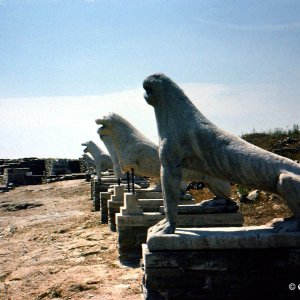 Löwenstraße, Delos