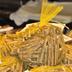 Fischmarkt in Venedig - Pfahlmuscheln