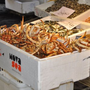 Fischmarkt in Venedig