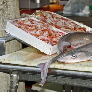 Fischmarkt in Venedig